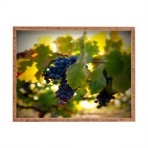 Krista Glavich Harvest 1 Rectangular Tray