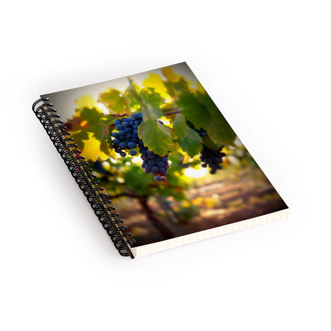 Krista Glavich Harvest 1 Spiral Notebook