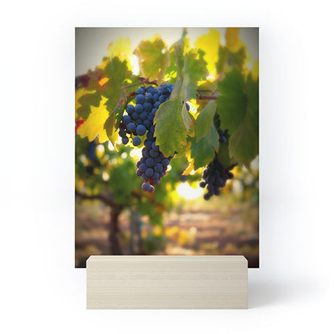 Krista Glavich Harvest 1 Mini Art Print