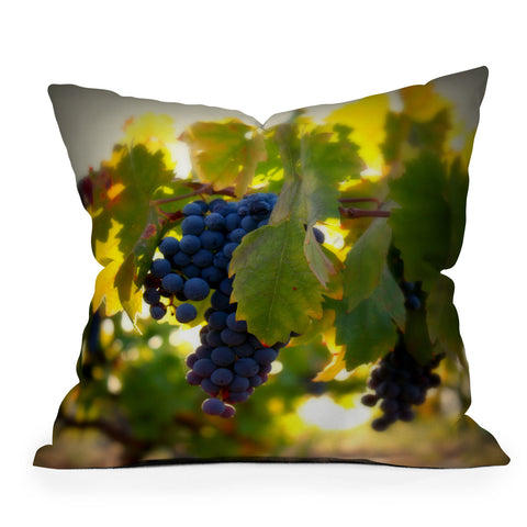 Krista Glavich Harvest 1 Outdoor Throw Pillow