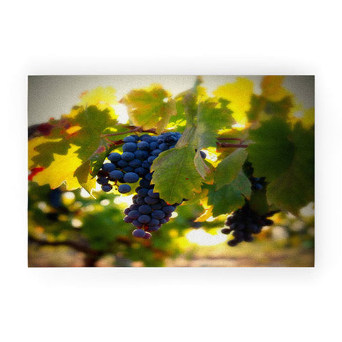 Krista Glavich Harvest 1 Welcome Mat