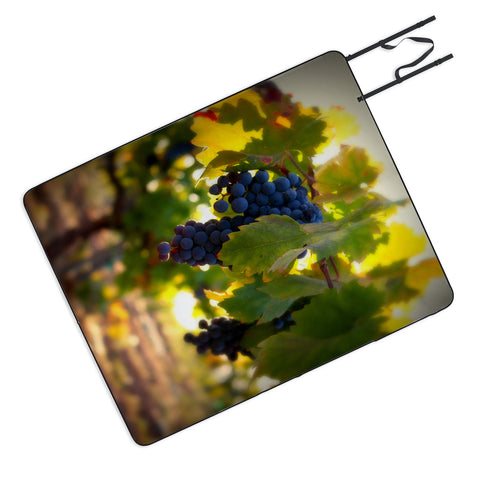 Krista Glavich Harvest 1 Picnic Blanket