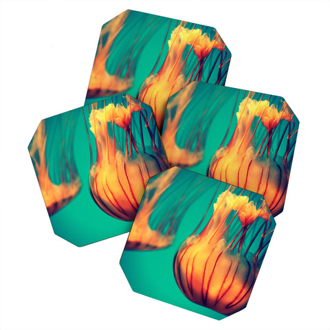 Krista Glavich Jellyfish 12 Coaster Set