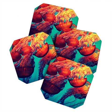 Krista Glavich Jellyfish 7 Coaster Set