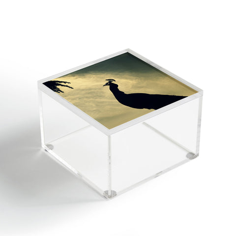Krista Glavich Peacock Silhouette Acrylic Box