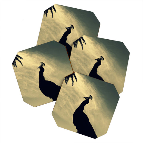 Krista Glavich Peacock Silhouette Coaster Set