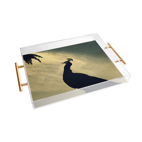 Krista Glavich Peacock Silhouette Acrylic Tray