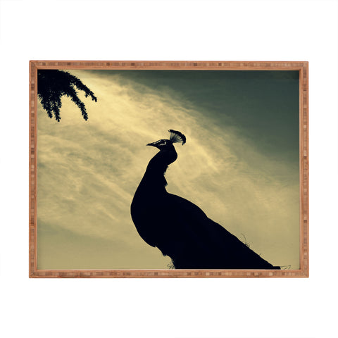 Krista Glavich Peacock Silhouette Rectangular Tray