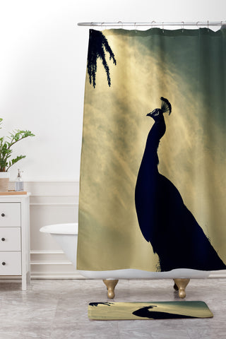 Krista Glavich Peacock Silhouette Shower Curtain And Mat