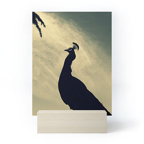 Krista Glavich Peacock Silhouette Mini Art Print