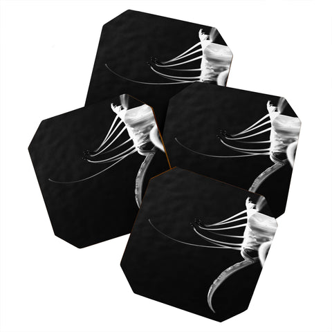 Krista Glavich Peruvian Daffodil Coaster Set