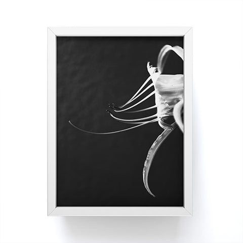 Krista Glavich Peruvian Daffodil Framed Mini Art Print