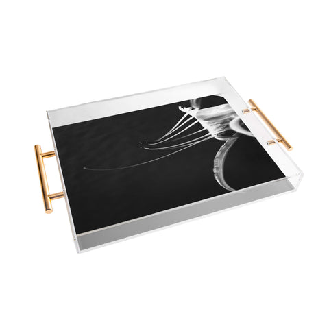 Krista Glavich Peruvian Daffodil Acrylic Tray