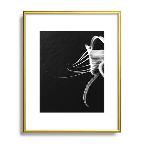 Krista Glavich Peruvian Daffodil Metal Framed Art Print