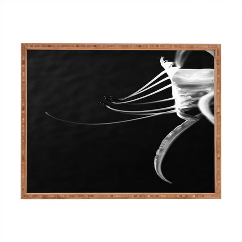 Krista Glavich Peruvian Daffodil Rectangular Tray