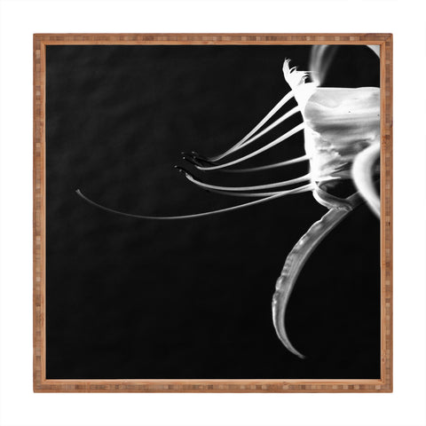 Krista Glavich Peruvian Daffodil Square Tray