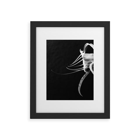 Krista Glavich Peruvian Daffodil Framed Art Print