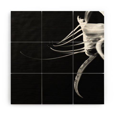 Krista Glavich Peruvian Daffodil Wood Wall Mural