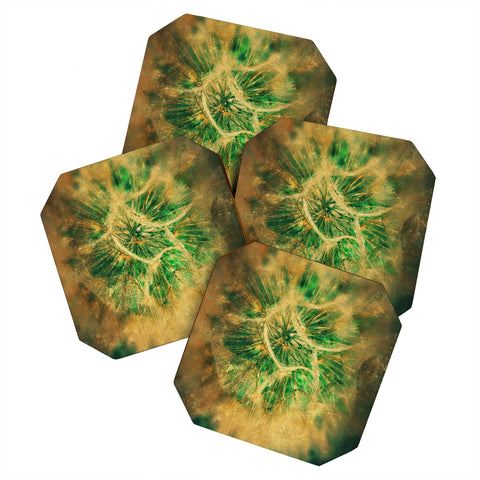 Krista Glavich Salsify Coaster Set