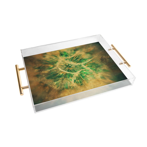 Krista Glavich Salsify Acrylic Tray