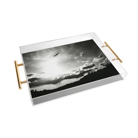 Krista Glavich Vulture Sunset Acrylic Tray