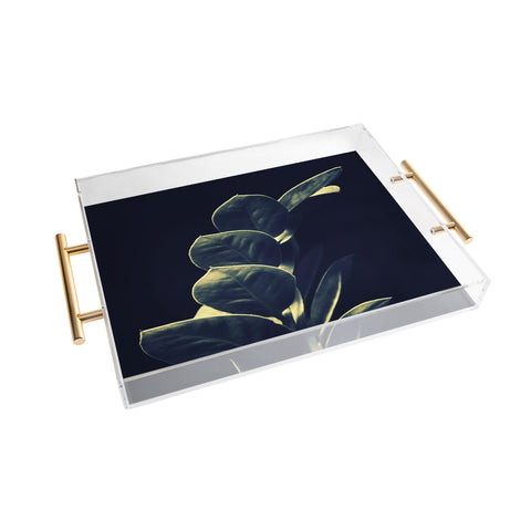 Krista Glavich Zamioculcas Acrylic Tray