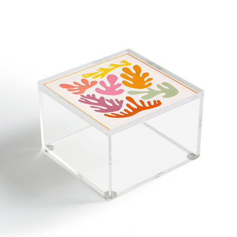 Lane and Lucia Candy Coral Acrylic Box