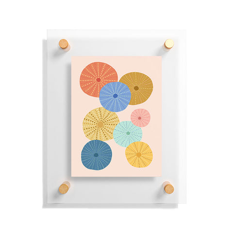 Lathe & Quill Coloful Sea Urchins 2 Floating Acrylic Print