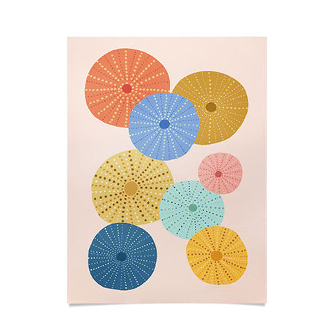 Lathe & Quill Coloful Sea Urchins 2 Poster