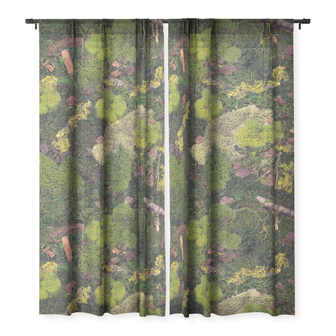 Lathe & Quill Forest Floor I Sheer Non Repeat