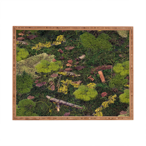 Lathe & Quill Forest Floor I Rectangular Tray