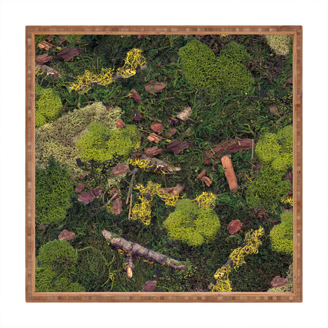 Lathe & Quill Forest Floor I Square Tray