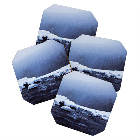 Leah Flores Nisqually River Coaster Set