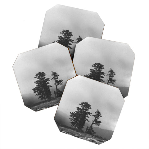 Leah Flores Pacific Northwest Coaster Set