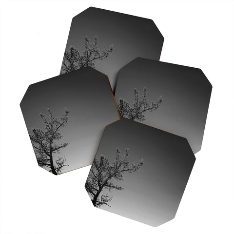 Leah Flores Tree Coaster Set