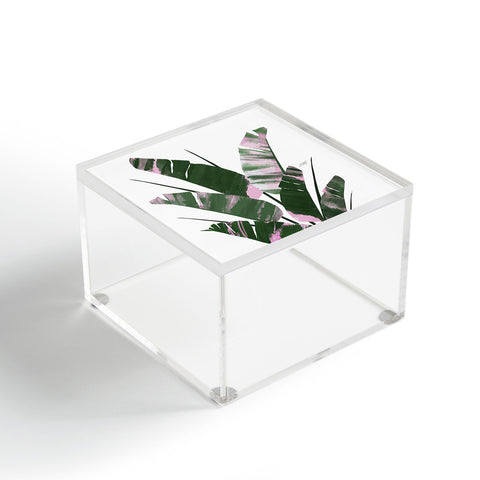 Lindsey Kay Collective Banana Leaf Plant Collage Acrylic Box