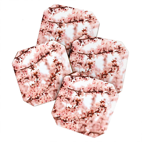 Lisa Argyropoulos Blissfully Pink Coaster Set