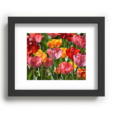 Lisa Argyropoulos Brilliant Spring Recessed Framing Rectangle