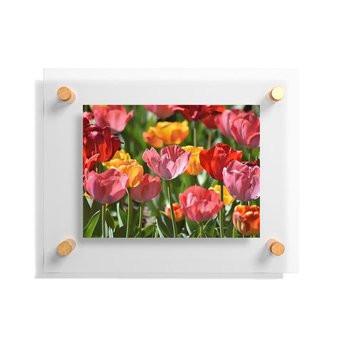 Lisa Argyropoulos Brilliant Spring Floating Acrylic Print