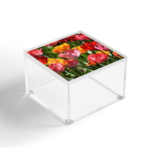 Lisa Argyropoulos Brilliant Spring Acrylic Box