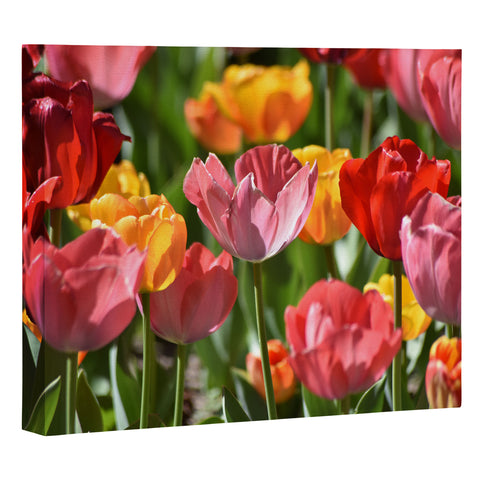 Lisa Argyropoulos Brilliant Spring Art Canvas