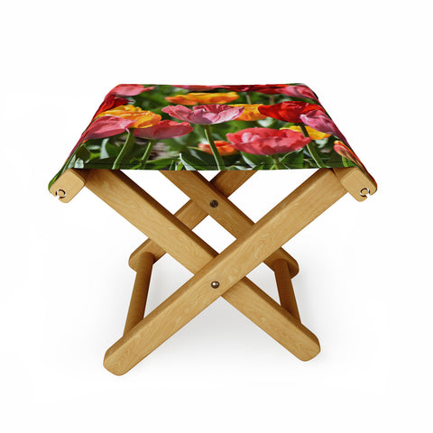 Lisa Argyropoulos Brilliant Spring Folding Stool
