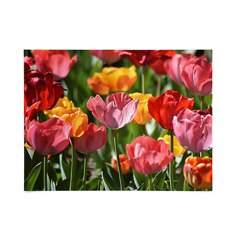 Lisa Argyropoulos Brilliant Spring Poster