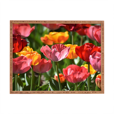 Lisa Argyropoulos Brilliant Spring Rectangular Tray