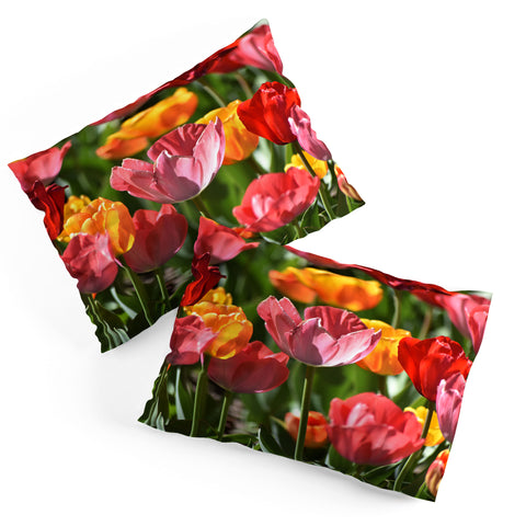 Lisa Argyropoulos Brilliant Spring Pillow Shams