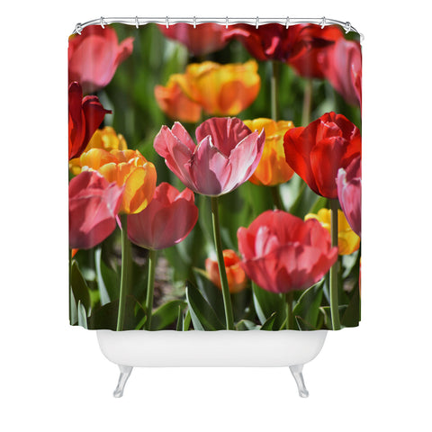Lisa Argyropoulos Brilliant Spring Shower Curtain