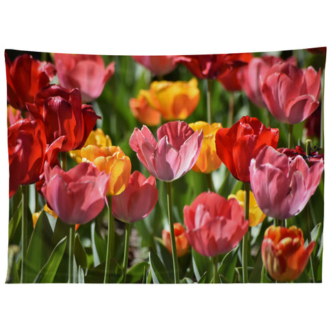 Lisa Argyropoulos Brilliant Spring Tapestry