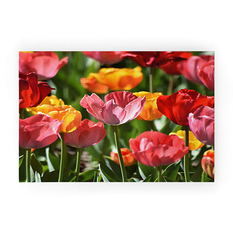 Lisa Argyropoulos Brilliant Spring Welcome Mat