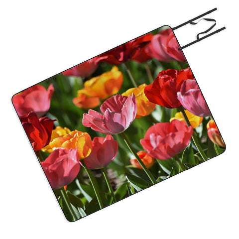 Lisa Argyropoulos Brilliant Spring Picnic Blanket