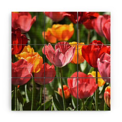 Lisa Argyropoulos Brilliant Spring Wood Wall Mural